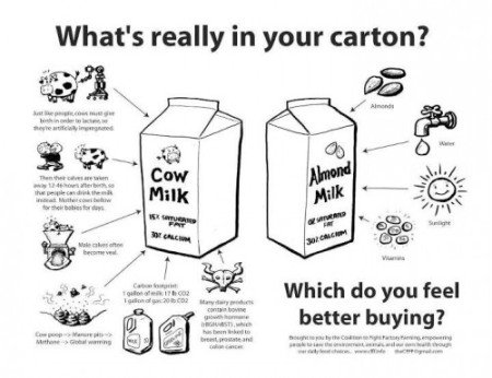 Cow Milk vs. Almost Milk